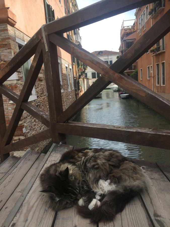 Tintoretto 1 Con Terrazza Sopra Il Tetto, 3 Bagni, 3 Grandi Camere Da Letto, Super Nuovo Venice Luaran gambar